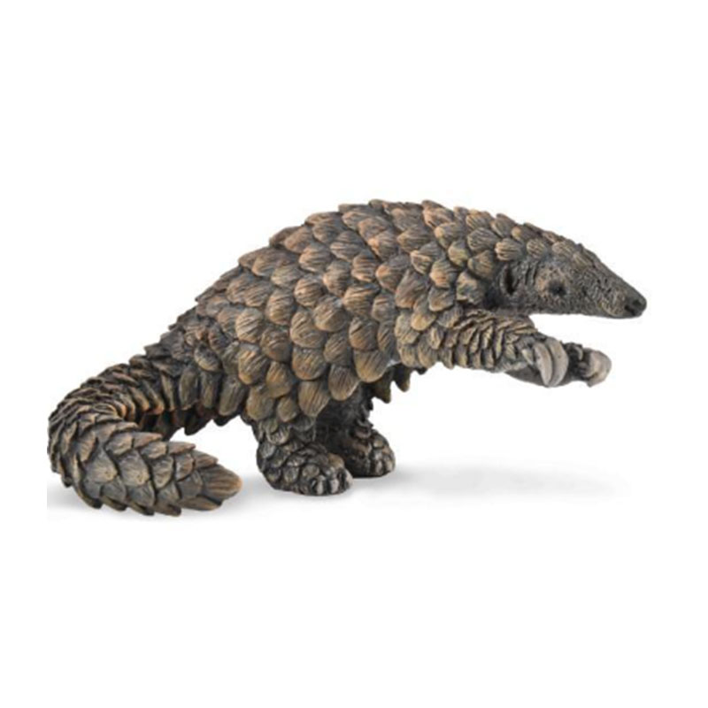 センザンコウ